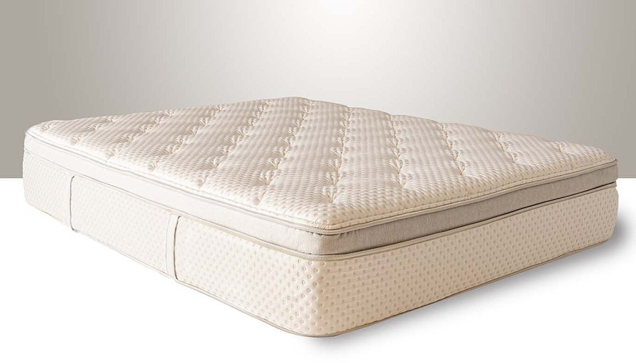 Mattresses HZ Sleep Queen Mattress Sets | Vanessa Plush Queen Mattress