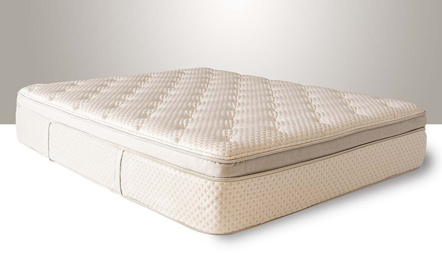 Mattresses HZ Sleep Twin Xl Mattress Sets | Vanessa Plush Twin Xl Mattress