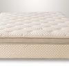 Mattresses HZ Sleep Twin Mattress Sets | Vanessa Plush Twin Mattress