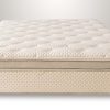 Mattresses HZ Sleep Queen Mattress Sets | Vanessa Plush Queen Mattress